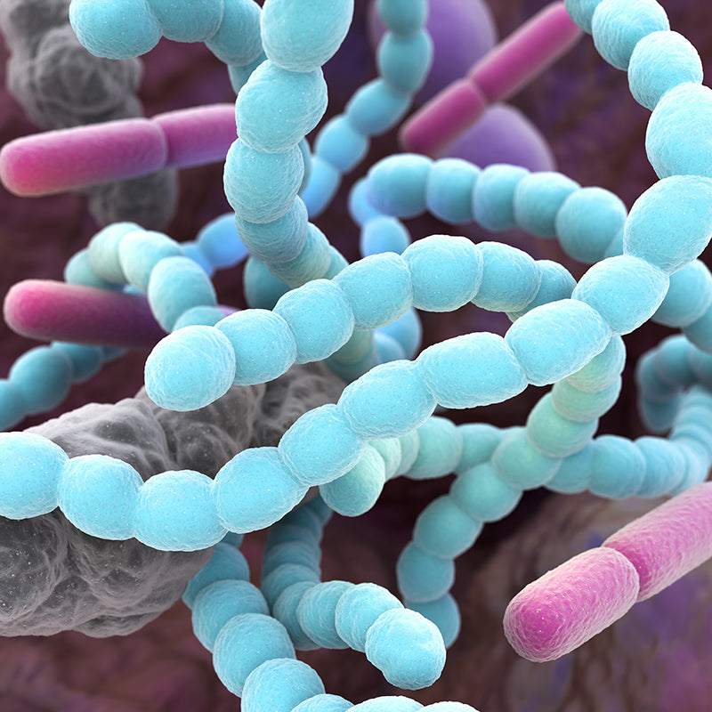 Bad Breath–It's Bacterial (But is it too much or the wrong kinds?)