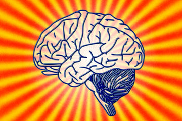 The Best Probiotic Foods for Your Brain
