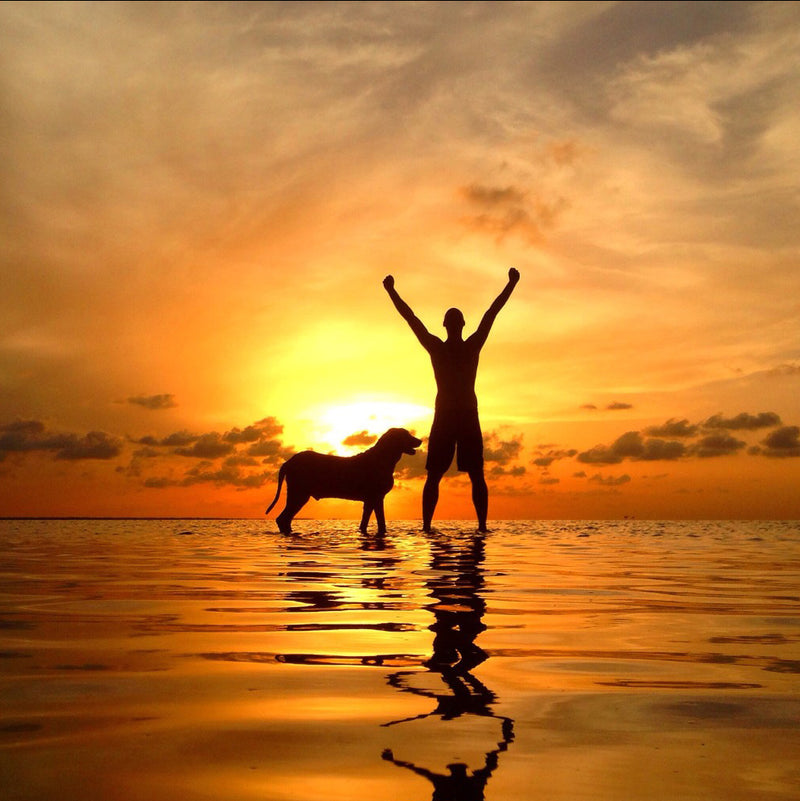 Healthy Bacteria Are a Part of You and Are Your Partner in Life