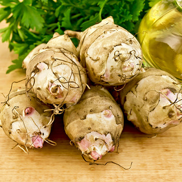 Prebiotics and Probiotics: What Is the Difference?