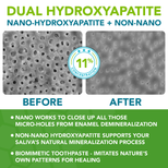 The Top Trio for Oral Hygiene & Healthy Gums: Oral Probiotics, Remineralizing Toothpaste and Essential Oil Blend